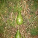 기수농장 이미지