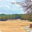 능산리고분군아트뮤지엄 | 충남 유네스코 부여왕릉원 백제역사유적지구 국가유산 고분군 나성 갈만한 곳