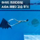 허쉬드 프리다이빙 | 대구 프리다이빙 AIDA 레벨2 강습 후기