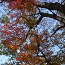 장미장여관 이미지