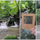 힐링숲민박 이미지