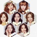 렌즈미 미금점 | 렌즈미 혼혈렌즈 :: 미묘 홀로그램 그레이, 브라운_렌즈미 미금