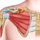 늘찬헬스케어 이미지