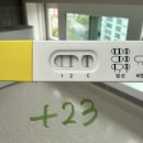 송탄효자약국 | 엄마보험, 자동차보험 할인, 오르조 커피, 다이소 초음파 앨범, 임신초기 증상, 심장소리, 갓비움 후기)