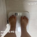 제품 리뷰 | 경희바로한의원 은비환 내돈내산 4일동안 3kg 감량 솔직 후기