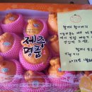 김기현농장 이미지