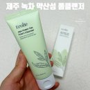 에코비 비건화장품, 제주 녹차 약산성 폼클렌저로 매일 순하게 딥클린