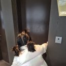 양덕원1리 정자각옆 간이화장실 | 기대가 컷던 만큼 아쉬움도 깊었던 3대 모녀의 여행 김포 마리나베이 기록 ( 내돈내산 솔직후기)