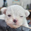 주령축산 이미지