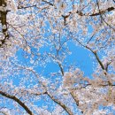 계당발전소 | 사 월, 두 번째 이야기