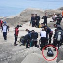 동해-단속-47 이미지