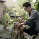 러브펫 멀티 펫샵 이미지