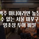 맥주 마니아라면 놓칠 수 없는 서울 마포구 양조장 투어 비밀