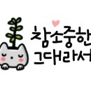 오쌤힐링스튜디오