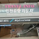 핫게이트99치킨 더샵점 | 인천공항 라운지 운영시간 카드 마티나라운지 제1여객터미널 위치 음식 총정리