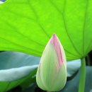 도장골농장 이미지