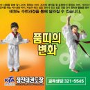 정진 태권도장 이미지