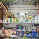 용인동물약국 이미지