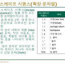 이스케이프C 이미지