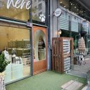 키튼히얼 고양이분양 김포본점 이미지