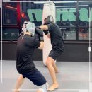 엑스퍼트짐 - 서초구 서초대로 339 | 엑스퍼트짐