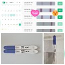 [배란+15일] 산부인과 방문(피검사 대기), 피곤한 하루, 스마일리더 어플 이용(배란테스트 날짜)