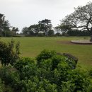 참살이쌈밥 이미지