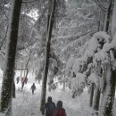 눈꽃여행 이미지