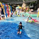 수정로279번길 이미지