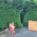 미로파크 이미지