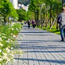 철길따라공원 이미지