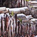 삼척명태찜 이미지