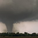 강진6호 이미지