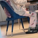 베리하우스 켄넬 이미지