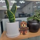 AK부동산공인중개사사무소 이미지