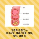 양천헬스 이미지