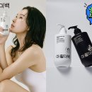 아윌 스트레이트뉴스