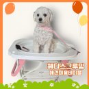 유이애견샵 이미지