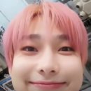 곰비임비 이미지