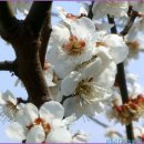 평사리공원 야영장 이미지