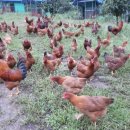 황토밥상 이미지