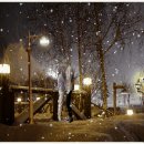 2015년11월27일＜금요일＞출석부~*~명품 운전기사 이미지