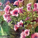 취미 수채화교실 이미지