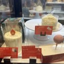 눈송이 | 스타벅스 신상케이크 눈송이케이크 내돈내산 후기