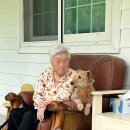 종려나무복지센터 이미지