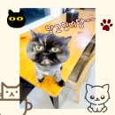 진하6길 이미지