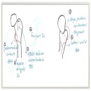 엠티브이13로1R 이미지