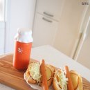 더치콩