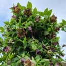 율리농장 이미지