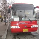 토닮 Daum카페